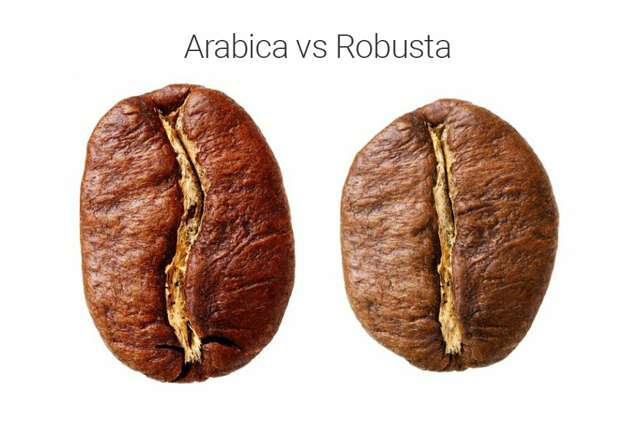 Уникальный раздел: Загадка кофейных зерен арабики